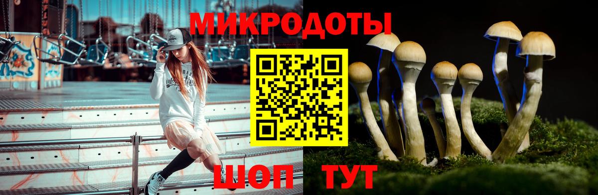 Ивантеевка  Псилоцибиновые грибы мухоморы  Вход с VPN 
