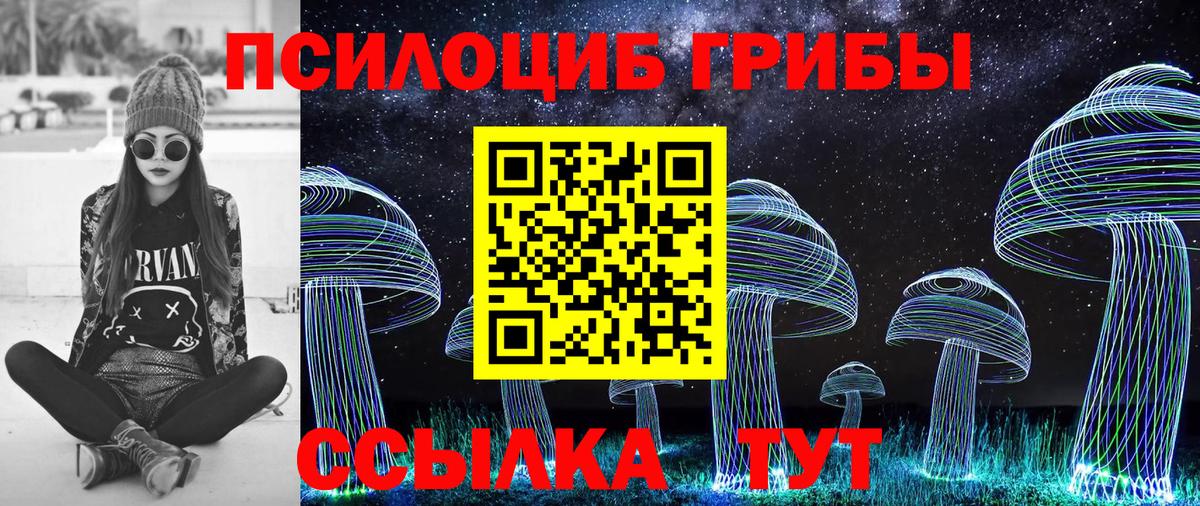 Псилоцибиновые грибы мицелий Ивантеевка